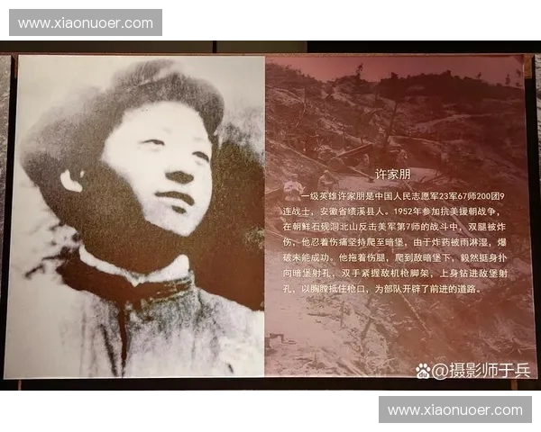 聚焦全球无畏英雄壮举全面描绘人类勇气与团结的史诗篇章辉煌旅程